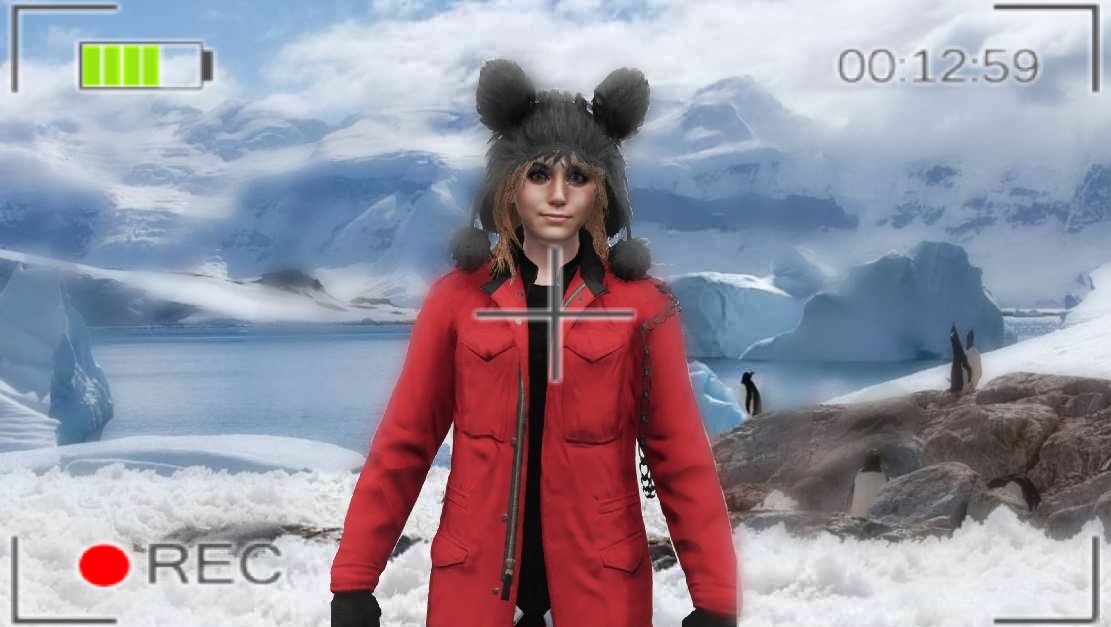 Valk In Antartica